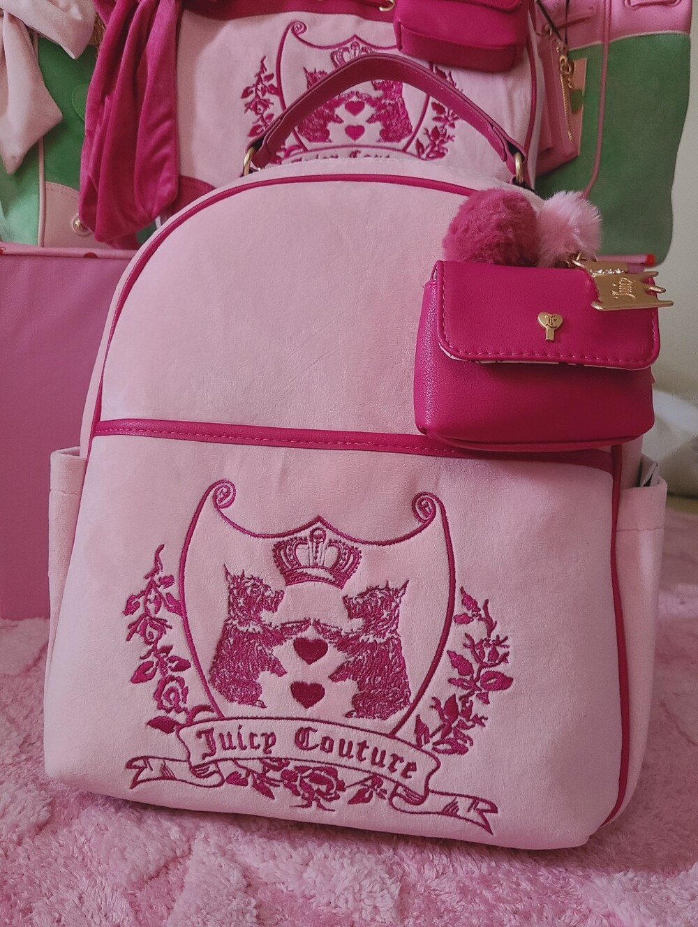 Juicy Couture Bag 💗